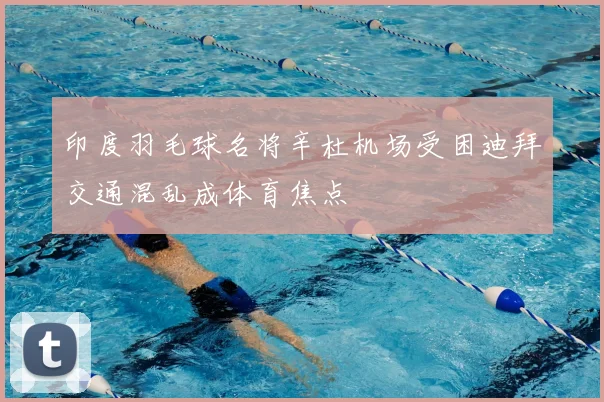 印度羽毛球名将辛杜机场受困迪拜交通混乱成体育焦点